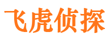 广西调查事务所